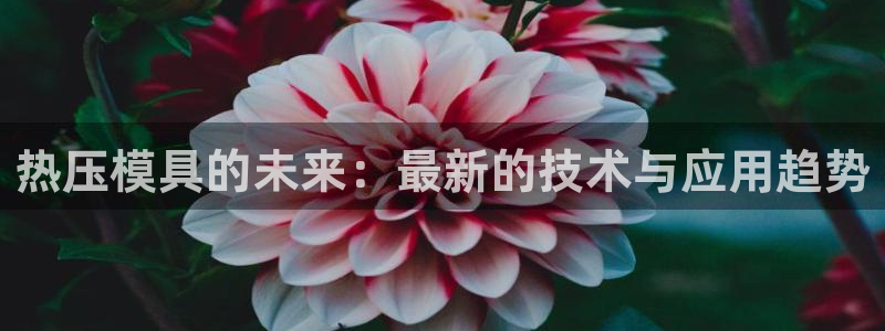 emc低频：热压模具的未来：最新的技术与应用趋势