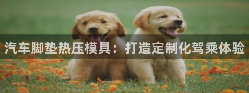 易倍企业管理软件怎么样