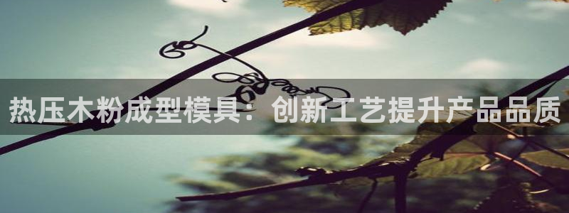 易倍下载：热压木粉成型模具：创新工艺提升产品品质