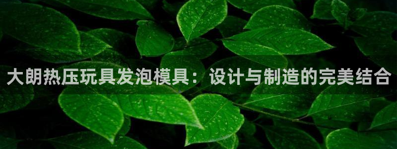 易倍单词官方网站的：大朗热压玩具发泡模具：设计与制造的完