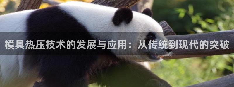 易倍纤减肥价格：模具热压技术的发展与应用：从传统到现代的