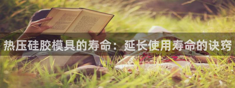 易倍思怎么样
