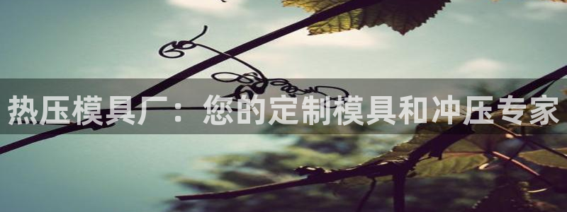 杭州易倍达科技有限公司怎么样：热压模具厂：您的定制模具和