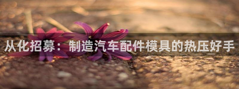 易倍思机电制造(上海)有限公司