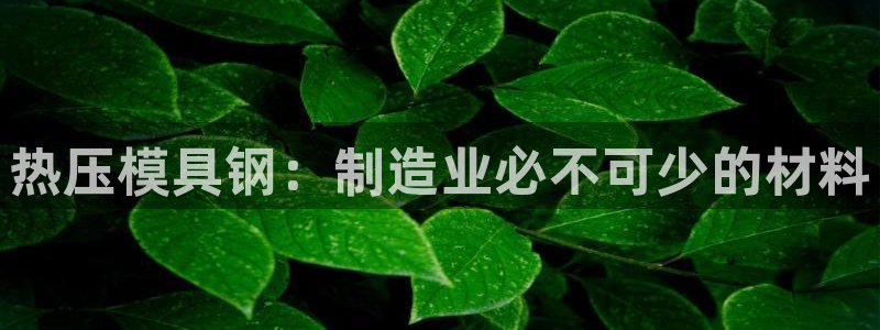 EMC易倍：热压模具钢：制造业必不可少的材料