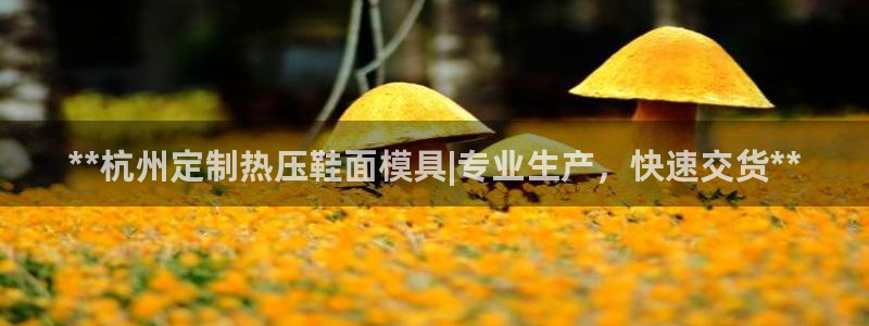 易倍纤代餐奶昔减肥效果怎么样：**杭州定制热压鞋面模具|