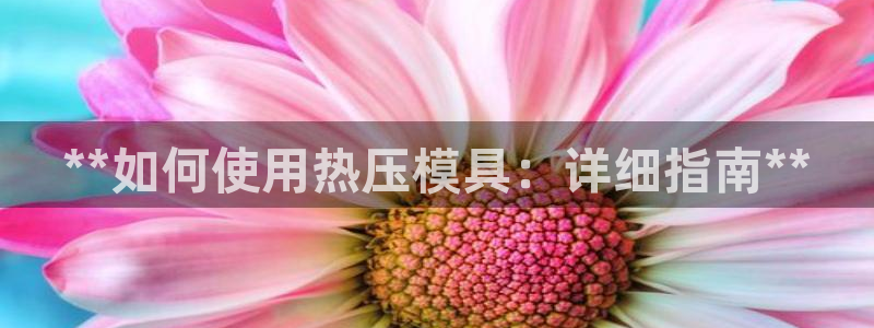 易倍申生产厂家