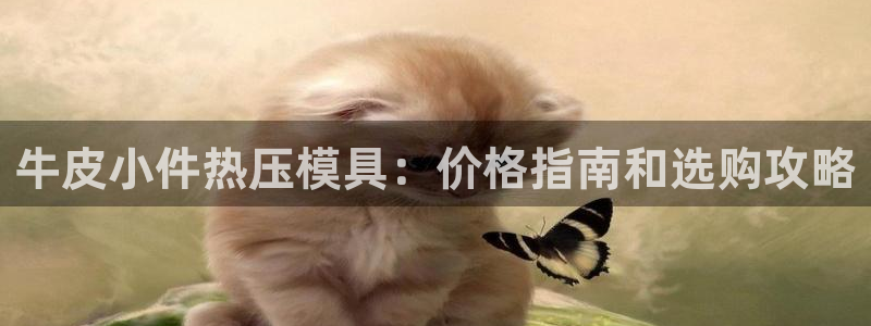 易倍申在中国成功上市：牛皮小件热压模具：价格指南和选购攻