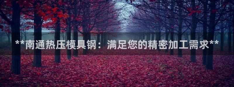 易倍申价格是多少：**南通热压模具钢：满足您的精密加工需