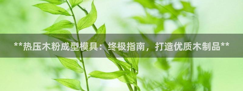 易倍申在中国成功上市：**热压木粉成型模具：终极指南，打