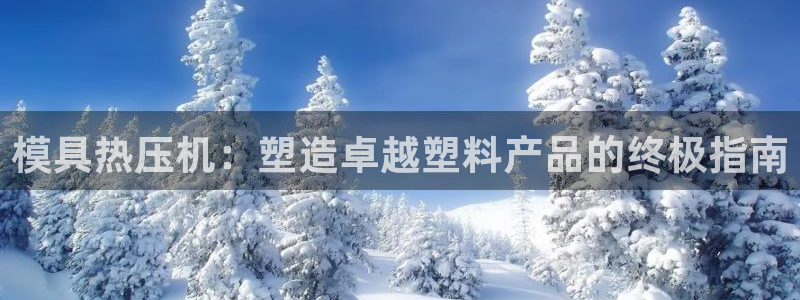 EMC易倍让身份验证:模具热压机:塑造卓越塑料产品的终极