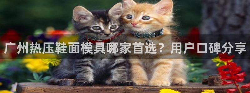 易倍单词官方网站