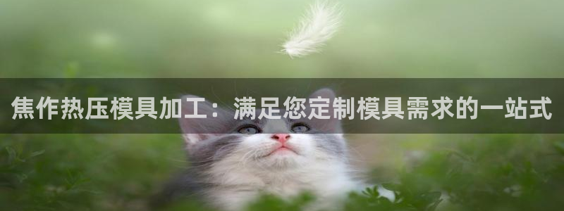 易倍申竞品：焦作热压模具加工：满足您定制模具需求的一站式