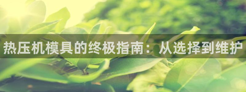 易倍纤代餐奶昔怎么样：热压机模具的终极指南：从选择到维护