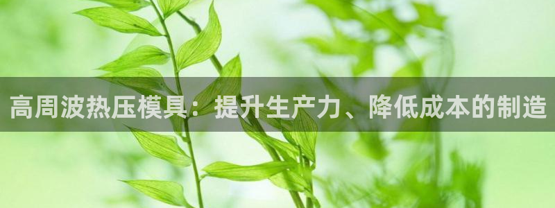 易倍单词官方网站下载：高周波热压模具：提升生产力、降低成