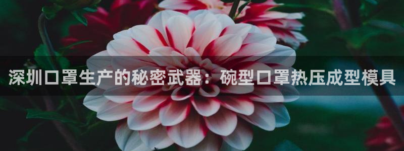 emc易倍最新链接