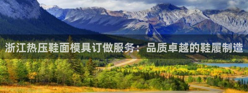 易倍纤减肥反弹不：浙江热压鞋面模具订做服务：品质卓越的鞋