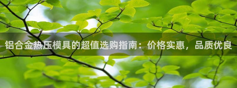 易倍网页版登录：铝合金热压模具的超值选购指南：价格实惠，