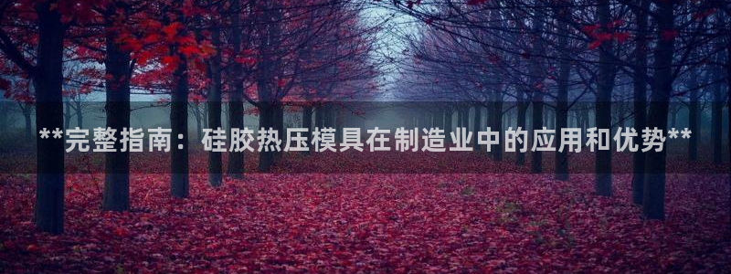 易倍纤奶昔减肥效果怎么样:**完整指南:硅胶热压模具在制