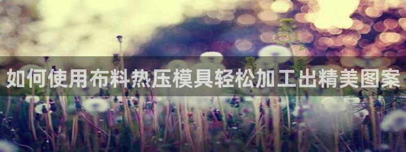 emc全站ag：如何使用布料热压模具轻松加工出精美图案