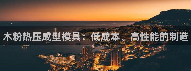 上海易倍投资有限公司