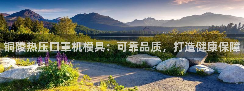 易倍单词官方网站登录：铜陵热压口罩机模具：可靠品质，打造