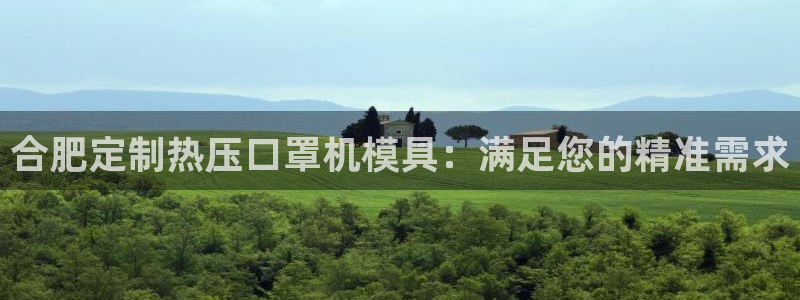 易倍纤代餐奶昔怎么样：合肥定制热压口罩机模具：满足您的精