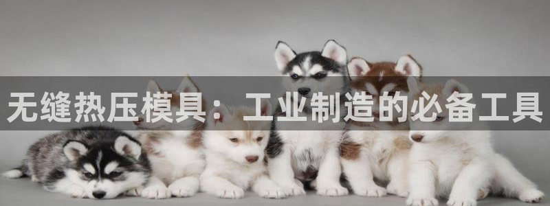 易倍网络技术有限公司官网