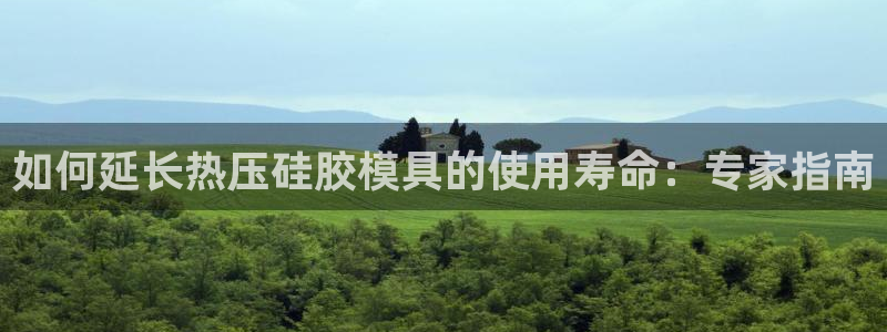 emc低频不过：如何延长热压硅胶模具的使用寿命：专家指南