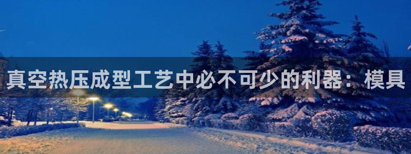 易倍申片：真空热压成型工艺中必不可少的利器：模具