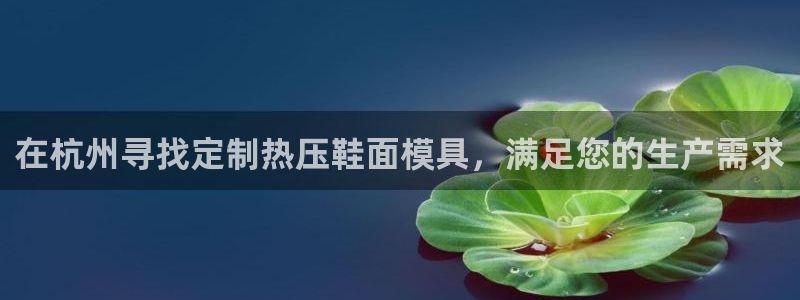 易倍下载手机版:在杭州寻找定制热压鞋面模具,满足您的生产