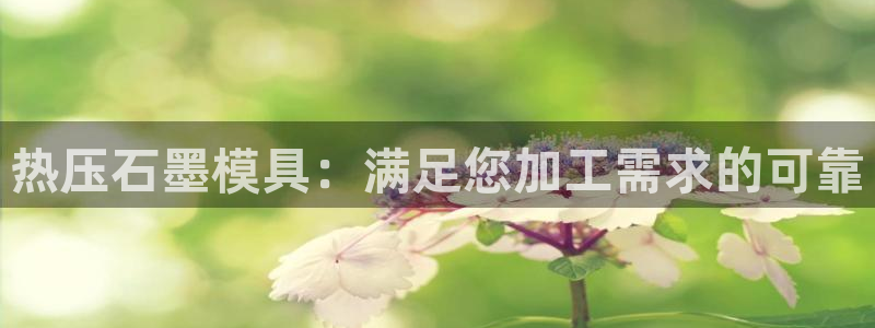 易倍申在中国成功上市