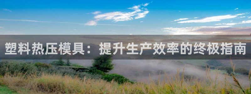 emc网页版：塑料热压模具：提升生产效率的终极指南