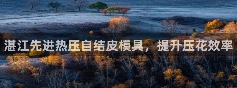 易倍单词官方网站的