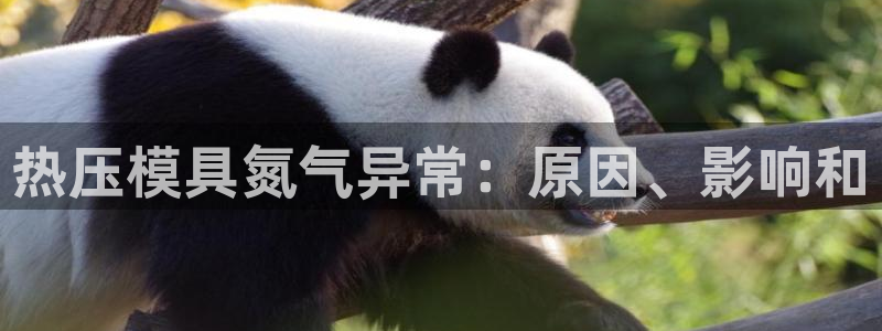 emc软件下载：热压模具氮气异常：原因、影响和