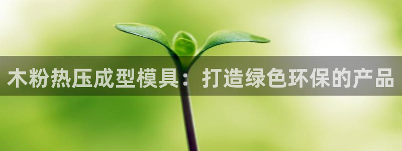 易倍企业管理软件怎么样