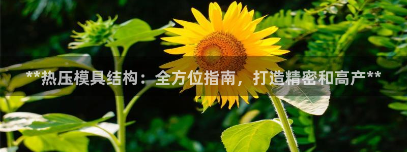 易倍单词官方网站下载安卓:**热压模具结构:全方位指南,