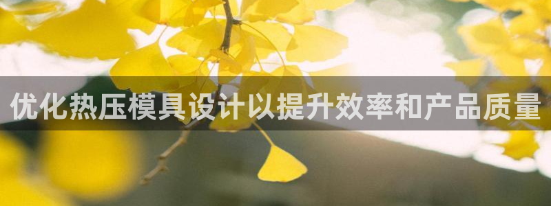 易倍申有用吗:优化热压模具设计以提升效率和产品质量