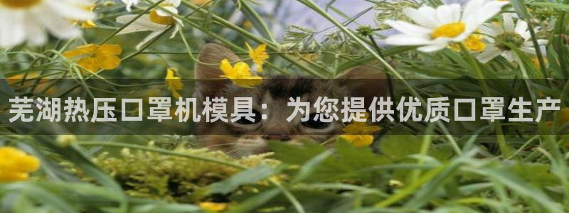 易倍单词登录平台：芜湖热压口罩机模具：为您提供优质口罩生