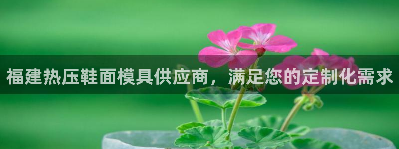 emc易倍官方平台:福建热压鞋面模具供应商,满足您的定制