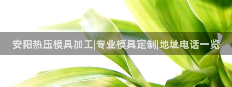 EMC易倍官网招聘：安阳热压模具加工|专业模具定制|地址