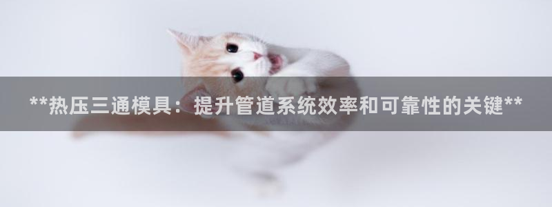易倍纤官网：**热压三通模具：提升管道系统效率和可靠性的