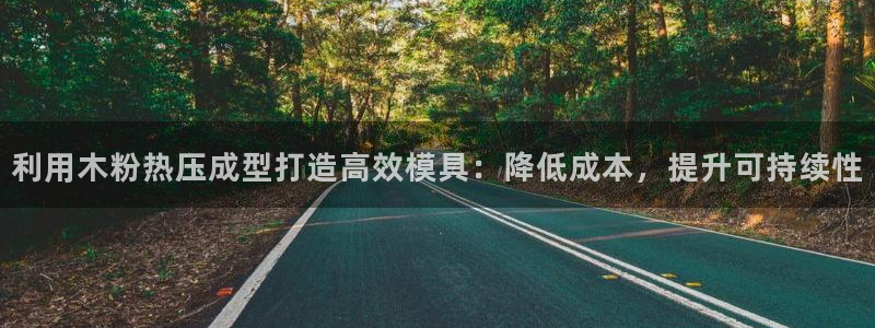 emc易贝体育怎么样:利用木粉热压成型打造高效模具:降低