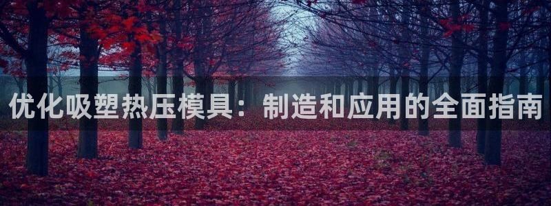 易倍emc全站:优化吸塑热压模具:制造和应用的全面指南