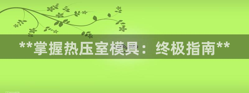南京易倍易电子科技有限公司:**掌握热压室模具:终极指南