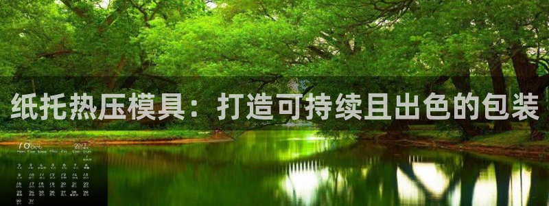 易倍网络技术有限公司是干嘛的：纸托热压模具：打造可持续且