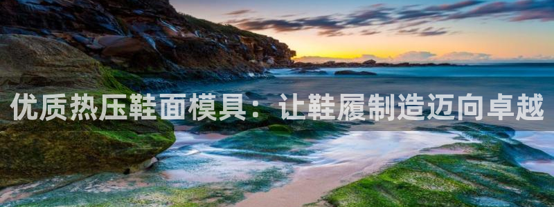 emcapp下载普通下载：优质热压鞋面模具：让鞋履制造迈