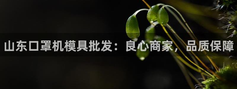 emc备份软件