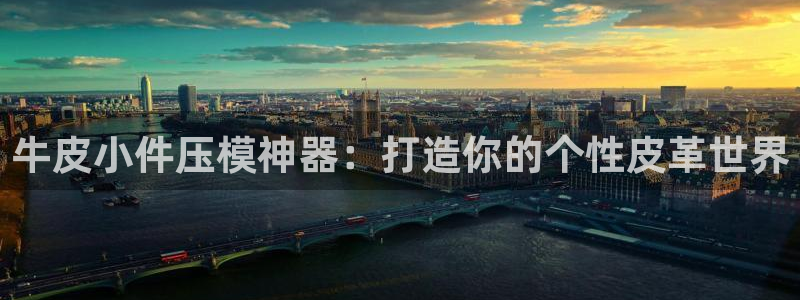 易倍申片说明书：牛皮小件压模神器：打造你的个性皮革世界