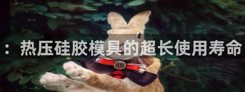 四川易倍易企业管理有限公司